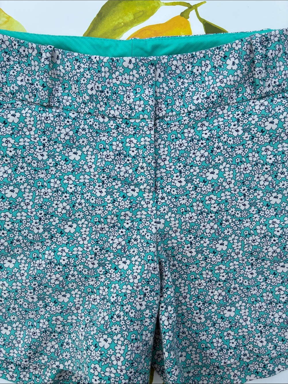 The Limited Floral Turquoise Shorts 6